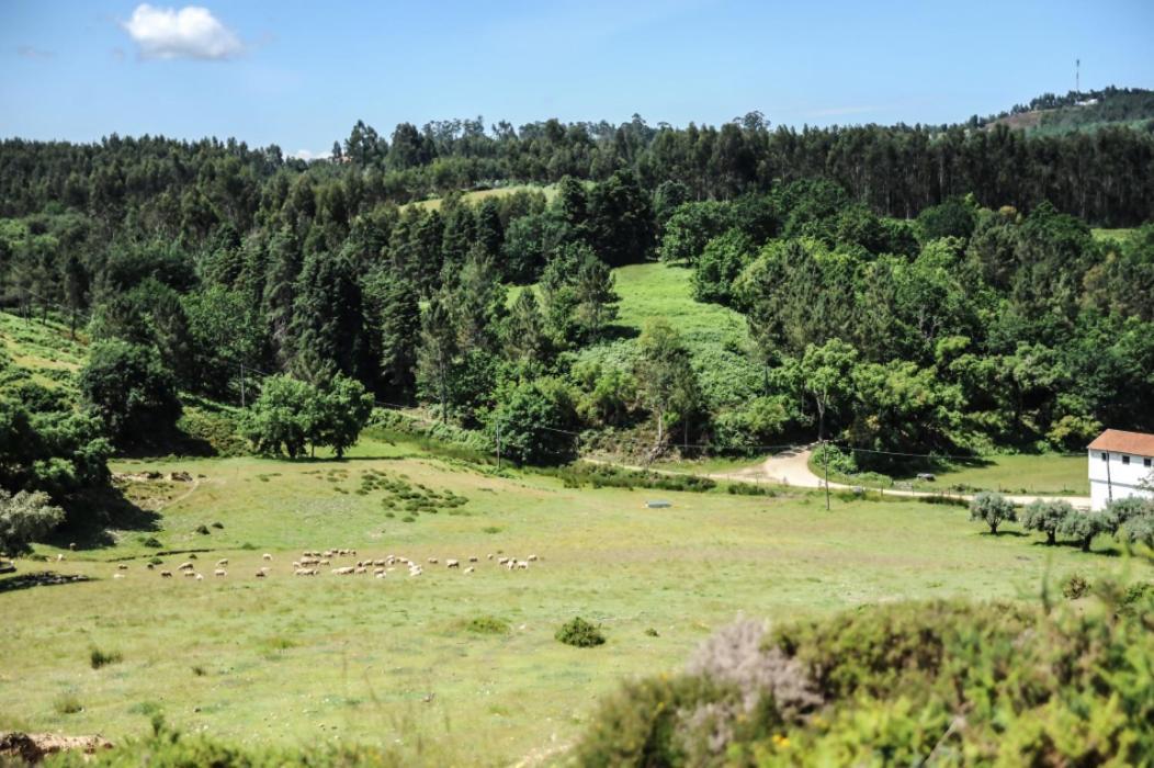 Vumba Agroturismo Арганил Екстериор снимка
