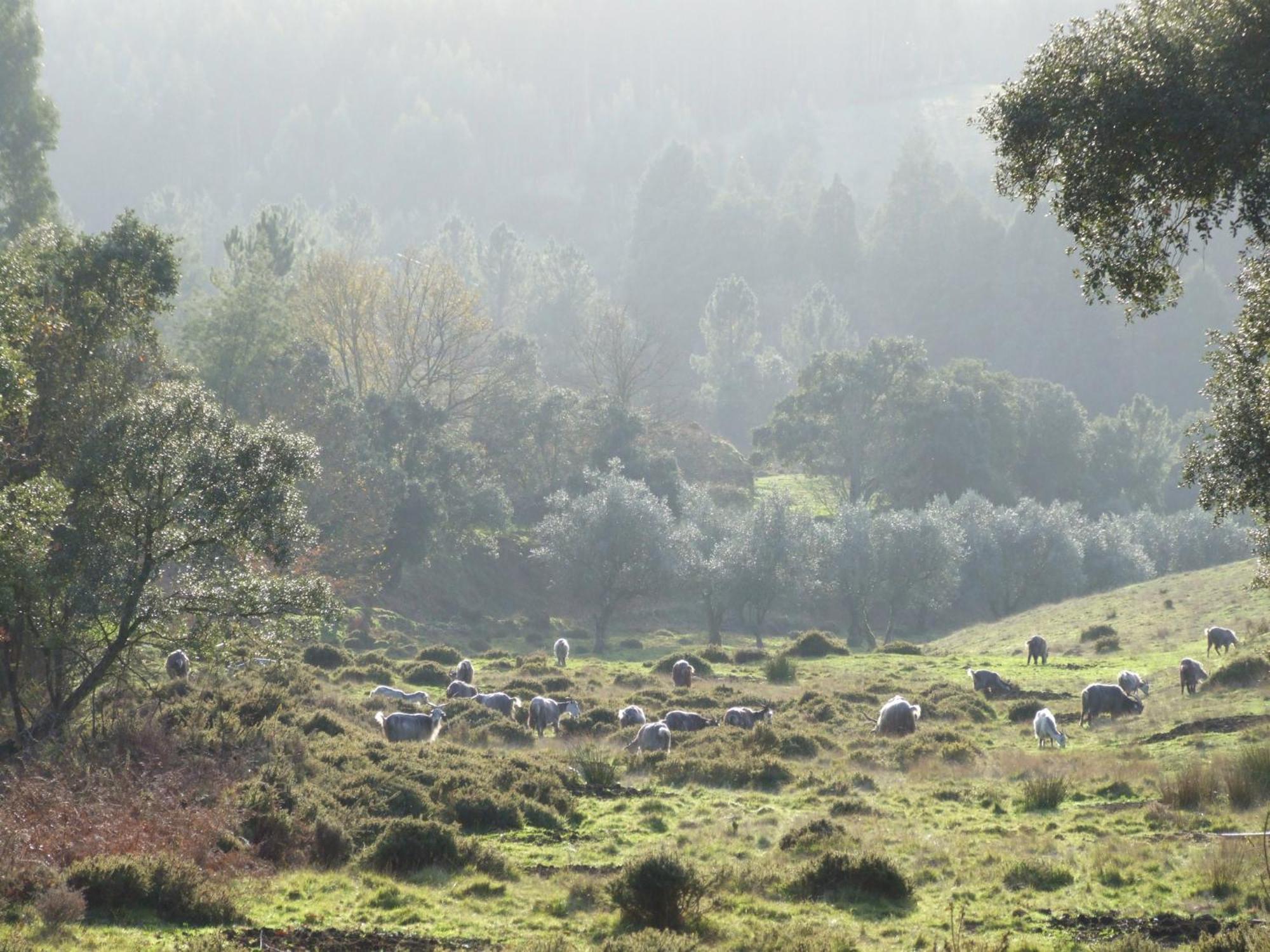 Vumba Agroturismo Арганил Екстериор снимка