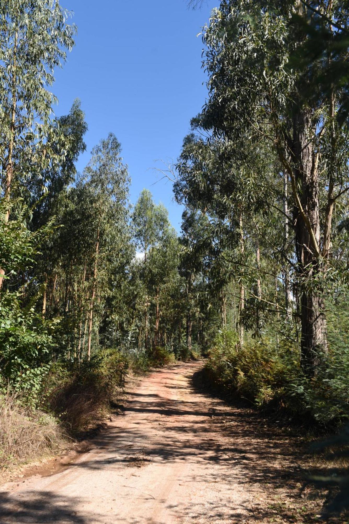 Vumba Agroturismo Арганил Екстериор снимка
